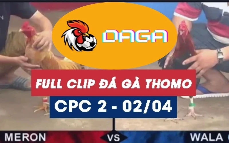 da-ga-thomo-02-04