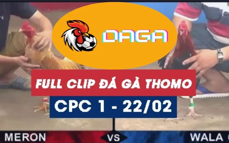 da-ga-thomo-22-02